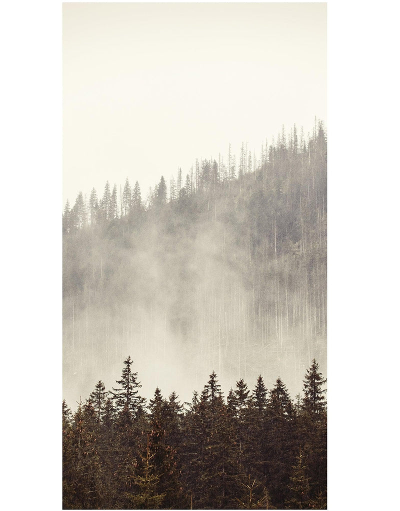 Foggy Misty Forest Tree Over Mountain Wall Mural.