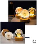 Flower Crystal Ball Night Light,2.4 inch Glass Ball Night Lamp with Woodern Base (Dandelion) by GreenHaven Gardens