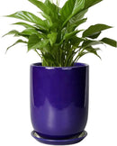 Ceramic Plant Pot - 8 Inch Planter for Indoor Plants Outdoor Flower Pot with Drainage Hole and Saucer Home Patio Office Decor Blue by GreenHaven Gardens