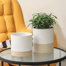 Nihow Ceramic Plant Pot: 6 Inch Planter with Drainage Hole & Saucer for Indoor & Outdoor Plants - Cylinder Round Flower Pot for Succulent/Herbs/Violets - White & Brown by CozyNest Decor