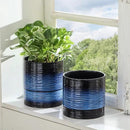 Nihow Ceramic Plant Pot: 6 Inch Planter with Drainage Hole & Saucer for Indoor & Outdoor Plants - Cylinder Round Flower Pot for Succulent/Herbs/Violets - Black & Vivid Blue by GreenHaven Gardens