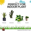 WhaleLife Indoor Watering Can for House Bonsai Plants (1.4L, Brown) by GreenHaven Gardens