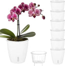 Self Watering Pots for Indoor Plants, 6-Pack 5'' Self Watering Planter with Drainage Holes, Small African Violet Pots with Water Indicator, Clear Wick Orchid Pot, White by CozyNest Decor