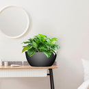 10 inch Hanging Planters for Outdoor Indoor Plants with Drainage Holes and Chain, 2 Pack Round Hanging Flower Pots for Garden Home Porch Decor, Black by GreenHaven Gardens