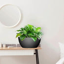 10 inch Hanging Planters for Outdoor Indoor Plants with Drainage Holes and Chain, 2 Pack Round Hanging Flower Pots for Garden Home Porch Decor, Black by CozyNest Decor