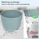 Hayder Plant Pots 6 inch Set of 6, Self Watering Flower Pots Indoor Outdoor, Self Watering Planters with Drainage Hole & Clear Saucer Reservoir by GreenHaven Gardens