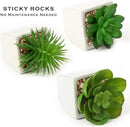 Hollyone Succulents Plants Artificial 3Pcs Small Fake Succulents in Pots Faux Plastic Potted Plants with White Ceramic Pot for Home Decor Classroom Office Bathroom Shelf Indoor & Outdoor Decorations by GreenHaven Gardens