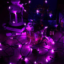 Brizled Purple Christmas Lights, 2 Pack 33ft 100 LED Christmas String Lights, 120V UL Certified Purple Halloween Light Connectable Mini Xmas Tree Light Outdoor for Halloween Xmas Party Wedding Holiday by TinyTreasures Baby Boutique