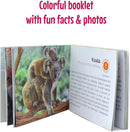 Menique Wild Animals Memory Matching Game – 80 Cards (40 Pairs) with Real Photos – Includes Educational Booklet with Animal Facts – Fun & Cognitive Game for Kids and Adults by TinyTreasures Baby Boutique
