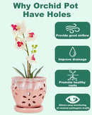 vensovo 5 Inch Ceramic Orchid Pots with Holes and Saucers - 1 Pcs Small Succulent Pot for Repotting, Garden Flowerpots for Plants Indoor and Outdoor Promotes Air Circulation, Pink by GreenHaven Gardens