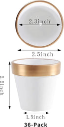 Yishang 36 pcs Small Mini White&Gold Clay Pots, 2.5'' Terracotta Pot Clay Ceramic Pottery Planter,Cactus Flower Terra Cotta Pots,Succulents Nursery Pots,with Drainage Hole, for Crafts,Wedding Favor by GreenHaven Gardens