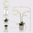Faux White Orchid Plant, Premium Artificial Indoor Flower Display Stands 24”, Beautiful Sculptural Blooms That Lasts Forever, Grey Planter Pot Included by CozyNest Decor