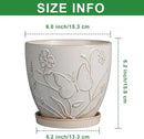 6 Inch Ceramic Plant Pot for Indoor Plants Outdoor Round Planter Flower Pot with Drainage Hole and Saucer for Home Garden Office Decor White by GreenHaven Gardens