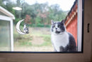 Gray and White Cat Memorial Gifts Loss of Cat British Shorthair Stained Glass Cat Suncatcher Cat Died Sympathy Gifts for Cat Lovers Cat Loss Sympathy Gift by GreenHaven Gardens