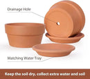 INGOFIN 8 Inch Terracotta Shallow Pots Set with Saucer - Ceramic Clay Pots with Drainage Hole, Terra Cotta Pot for Plants for Indoor Outdoor Plants, Set of 2 by CozyNest Decor