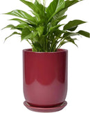 Ceramic Pot for Plants - 8 Inch Plant Pot Indoor with Drainage Hole and Saucer Cylinder Flower Pot for Indoor Outdoor Plants Home Patio Office Decor Red by GreenHaven Gardens