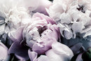 Light Purple Peony Floral Wallpaper Rose Flower Mural Large Wall Decor for Living Room Bedroom Dining Room Office(Not Self-Adhesive) by TinyTreasures Baby Boutique
