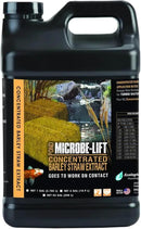 MICROBE-LIFT MLCBSE5G Concentrated Barley Straw Extract Conditioner for Ponds and Outdoor Water Garden, Safe for Live Koi Fish, Plants, and Decorations, 5 Gallons by GreenHaven Gardens