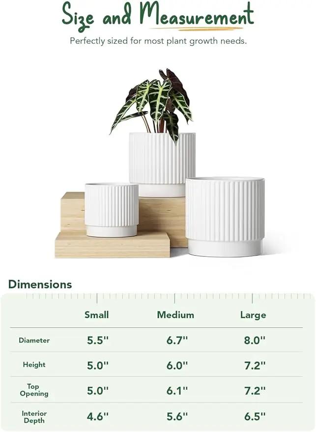 LE TAUCI Ceramic Pots for Plants, 8+6.7+5.5 Inch Plant Pots Indoor, Flower Pot with Drainage Holes, Medium Cylinder Planters for Indoor House Plants, Set of 3, White, photo 5 of 7