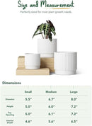 LE TAUCI Ceramic Pots for Plants, 8+6.7+5.5 Inch Plant Pots Indoor, Flower Pot with Drainage Holes, Medium Cylinder Planters for Indoor House Plants, Set of 3, White by GreenHaven Gardens