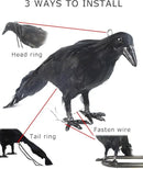Hanging Dead Crows, 13 Inches Life-Size Raven, Realistic Handmade Fake Decoy for Garden Christmas Halloween Decorations [Face Up+Face Down+Stand] 2PC by GreenHaven Gardens