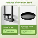 Picture Frame Wall Plant Holder, Metal Window Plant Shelves Plant Holder for Indoor Plants, Hanging Wall Planters Wall-Mounted Plant for Home, Office, and Garden (Black, 2PCS) by GreenHaven Gardens