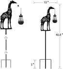 Solar Giraffe Garden Stakes Outdoor Solar Decor Metal Giraffe Holding Solar Lantern Decorative Garden Metal Animal Stakes Outdoor Giraffe Silhouette Stakes by GreenHaven Gardens