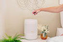 Crane Ultra-Quiet 3-in-1 Humidifier for Baby with Essential Oil Tray, 7-Color Sleep Light, 1 Gallon Top-Fill Tank, Ideal for Bedroom by TinyTreasures Baby Boutique