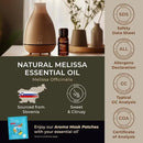 Gya Labs Melissa Essential Oil - 0.34 Fl Oz - 100% Pure Natural Melissa Oil for Candle Making Scent by CozyNest Decor