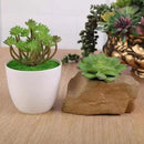 18 Pack Artificial Succulents Realistic Textured Fake Succulents Unpotted Artificial Cactus Plant Suitable for Garden Home Office Greening and Decoration by GreenHaven Gardens