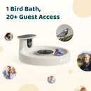 Birdfy Smart Bird Bath with Camera Solar Powered & Fountain, Dual-Lens Camera for Wildbird Watching, Auto Capture Bird Videos & Motion Detection - AI Lifetime Version (Yellowstone) by GreenHaven Gardens