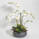 Faux Orchid Plant w/Succulents, Premium Artificial Indoor Flower Display Stands 24” w/Beautiful Sculptural Blooms and Succulents That Lasts Forever, Grey Planter Pot Included by CozyNest Decor