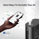 Dreo 6L Humidifiers for Bedroom, Smart Warm & Cool Mist for Large Room, 60Hr Quiet Runtime for Baby, Plant, Humidity Sensor, Indicator Light, 12H Timer, Google/Alexa, Black by TinyTreasures Baby Boutique