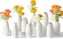 Small White Ceramic Vase Set of 10 - Mini Bud Vases for Flowers and Pampas Grass, Boho Centerpieces for Home and Party Decor, White Vases Home Decor, Ceramic Vase Set for Weddings by GreenHaven Gardens