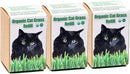 Cat Grass Refill Kit (3) by GreenHaven Gardens