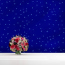 Starry Night on a Deep Blue Midnight Sky Wall Mural Decal.
