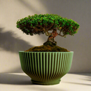 Bonsai Pot with Drainage & Tray