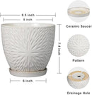 G EPGardening 8 Inch Ceramic Plant Pot with Drainage Hole and Saucer Round Planter Pot for Indoor Outdoor Plants Modern Large Flower Pot White by CozyNest Decor
