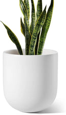 LE TAUCI 10 Inch Plant Pot, Ceramic Pots for Plants with Drainage Hole and Rubber Plug, Plant Pots Indoor for Olive Tree, Cylinder Planter Pot for Home Patio Office, White by GreenHaven Gardens