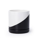 D'vine Dev 6.5 Inch Ceramic Planter Pot with Drainage Hole and Saucer, Indoor Cylinder Round Planter Pot, Oblique Monochrome Black and White, 94-O-C-K by GreenHaven Gardens