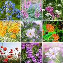 Pollinator Wildflower Seeds Bulk – 1 lb, 640,000+ Seeds – 23 Variety Mix for Hummingbirds & Butterflies – Non-GMO Annual & Perennial Flower Seed for Planting by GreenHaven Gardens