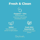 Oxyfresh Pro Formula Fresh Mint Mouthwash – Patented Zinc Mouthrinse for Fresh Breath & Soothing Gums – Dye Free, Fluoride Free, Alcohol Free Mouthwash – 3 Bottles, 16 oz. ea. by CozyNest Decor