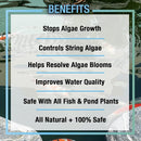 MICROBE-LIFT ALGA08 Algaway 5.4 Algae Control Treatment for Ponds and Water Gardens, Safe for Koi Fish, Goldfish, Plants, and Decorations, 8 Ounces by GreenHaven Gardens