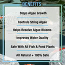 MICROBE-LIFT ALGA2.5 Algaway 5.4 Algae Control Treatment for Ponds and Water Gardens, Safe for Koi Fish, Goldfish, Plants, and Decorations, 2.5 Gallons by GreenHaven Gardens