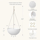 LA JOLIE MUSE 10 Inch Hanging Planters for Indoor Plants, Outdoor Garden Planter Pots, White, Honeycomb, Set of 2 by CozyNest Decor
