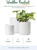 LE TAUCI Ceramic Plant Pots Indoor, 10+8+6 Inch Planters for Indoor Plants, Raised Dots Flower Pots with Drainage Hole and Plug, Cylinder Round Planters, Set of 3, White by GreenHaven Gardens