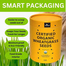 Certified Organic Wheatgrass Seeds – 12,500+ Non-GMO USDA Cat Grass Seeds in Food-Grade Container with Lid for Easy Scooping & Freshness by GreenHaven Gardens