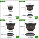 6 Pack 8 inch Plant Pots, Retro Pattern Planters with Drainage Holes and Saucer, Sturdy Plastic Garden Flower Pots for Indoor & Outdoor Plants by GreenHaven Gardens