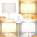 Ambimall 60'' Modern Floor Lamp with Shade, Tall Lamps for Living Room, Bedroom, Office, Dining Room, Beige Shade with Gold Pole(Without Bulb) by CozyNest Decor