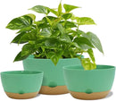 12 Inch Pots for Indoor Plants, Large Self Watering Planters with Drainage and Saucers, Plastic Outdoor Flower Pot, Set of 2, Green by GreenHaven Gardens